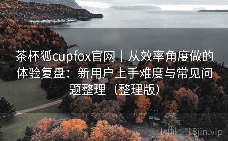 茶杯狐cupfox官网｜从效率角度做的体验复盘：新用户上手难度与常见问题整理（整理版）