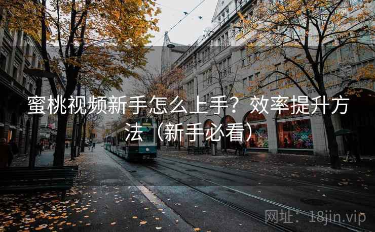 蜜桃视频新手怎么上手？效率提升方法（新手必看）