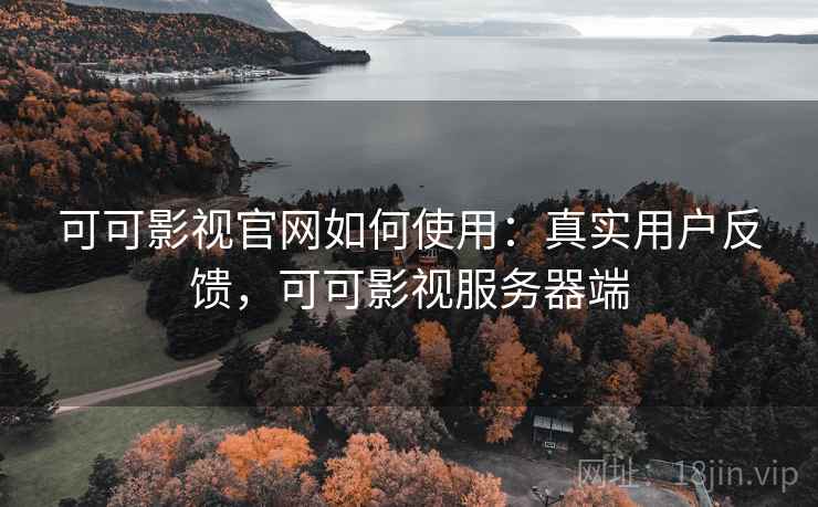 可可影视官网如何使用：真实用户反馈，可可影视服务器端