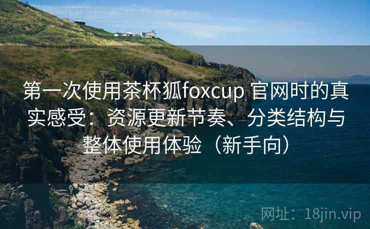 第一次使用茶杯狐foxcup 官网时的真实感受：资源更新节奏、分类结构与整体使用体验（新手向）