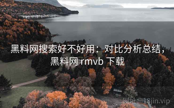 黑料网搜索好不好用：对比分析总结，黑料网 rmvb 下载