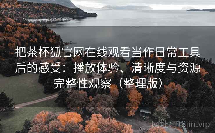 把茶杯狐官网在线观看当作日常工具后的感受：播放体验、清晰度与资源完整性观察（整理版）