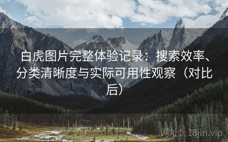 白虎图片完整体验记录：搜索效率、分类清晰度与实际可用性观察（对比后）