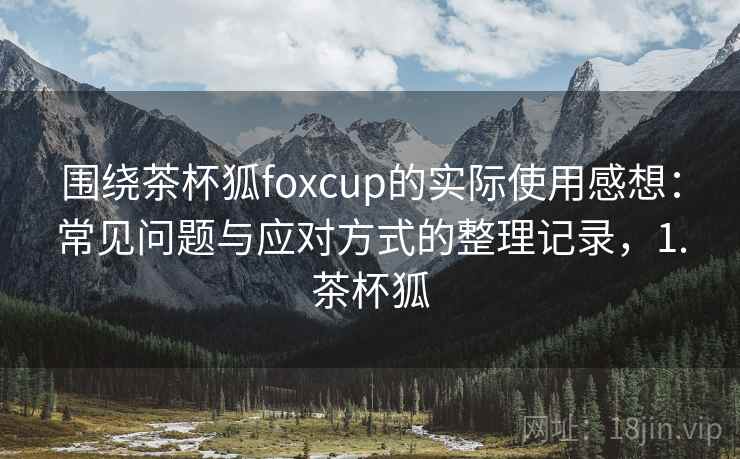围绕茶杯狐foxcup的实际使用感想：常见问题与应对方式的整理记录，1.茶杯狐
