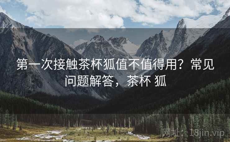 第一次接触茶杯狐值不值得用？常见问题解答，茶杯 狐