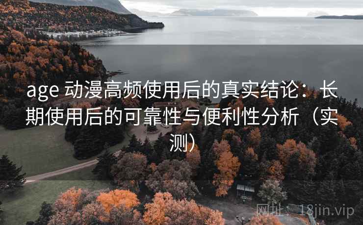 age 动漫高频使用后的真实结论：长期使用后的可靠性与便利性分析（实测）